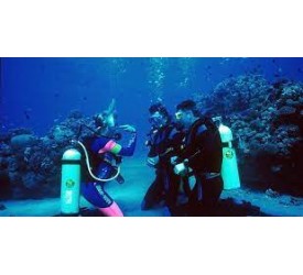 ALANYA SCUBA DİVİNG